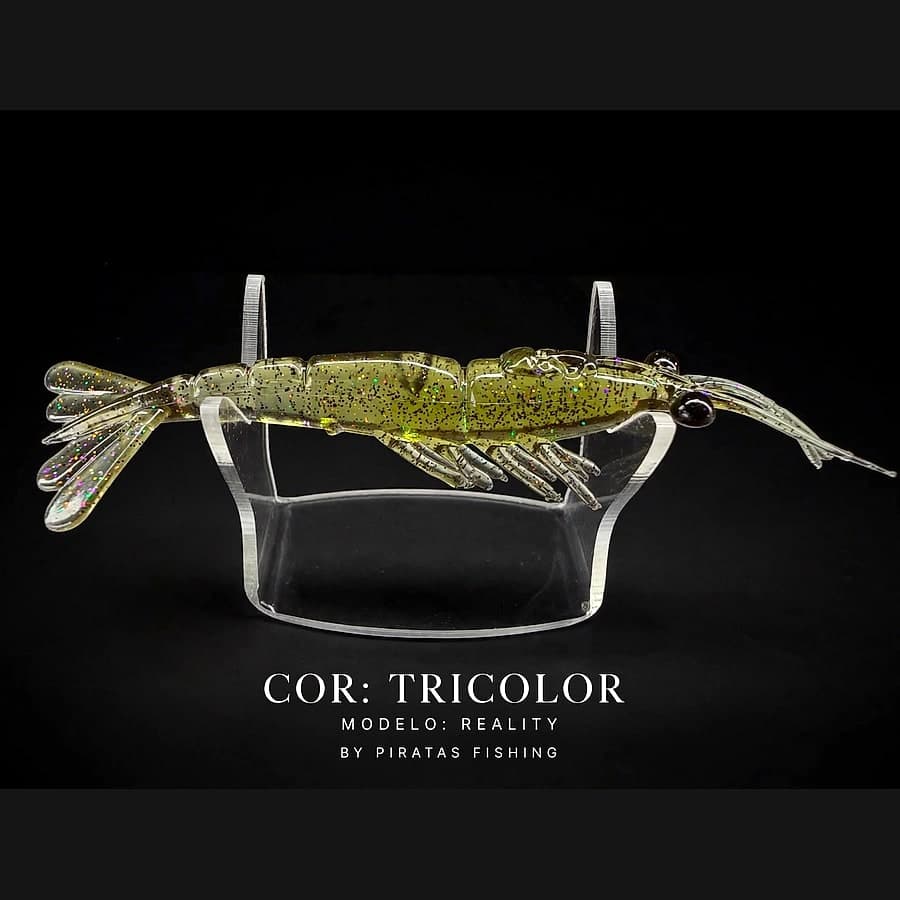 Reality – Tricolor